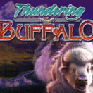 Thundering Buffalo